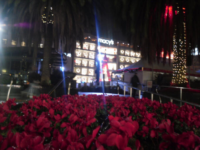 I can find love anywhere